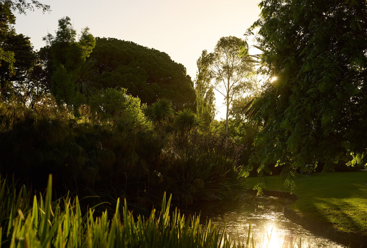 Hedgeley Dene Gardens